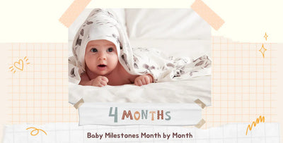 4 Month Old Milestones