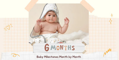 6 Month Old Milestones